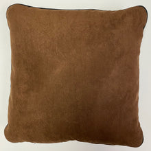 14" x 14" Pillow